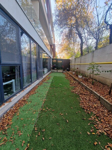 Iancu Nicolae, Pipera.